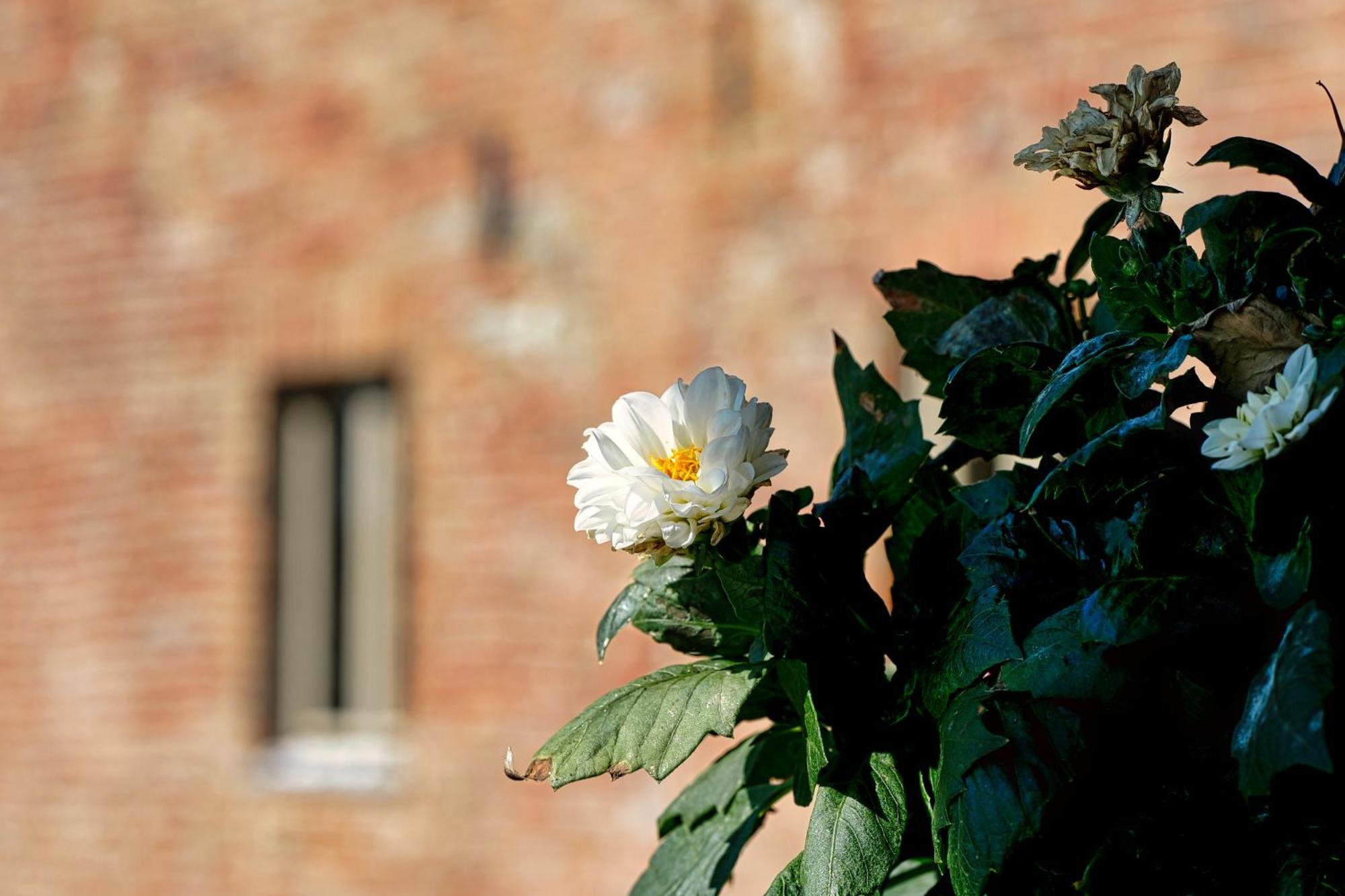 Viavai Bed and Breakfast Casalborgone Exteriör bild